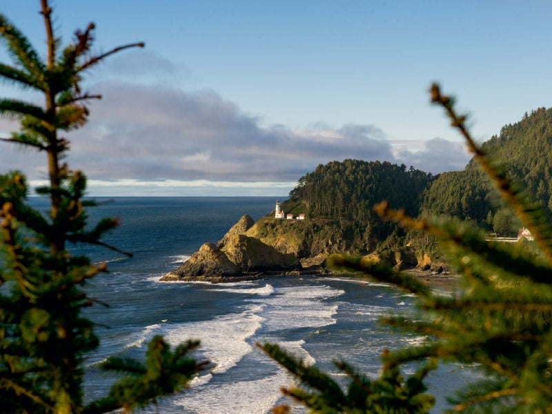 Heceta Lighthouse - CALVENDO Foto-Puzzle - calvendoverlag 29.99