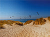 Dünen an der Nordsee - CALVENDO Foto-Puzzle - calvendoverlag 29.99