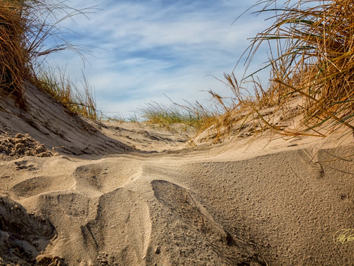 Nordsee-Dünen - CALVENDO Foto-Puzzle - calvendoverlag 29.99