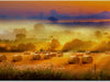Strohballen auf dem Feld - CALVENDO Foto-Puzzle - calvendoverlag 29.99