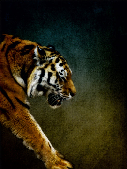 Tiger - CALVENDO Foto-Puzzle - calvendoverlag 29.99