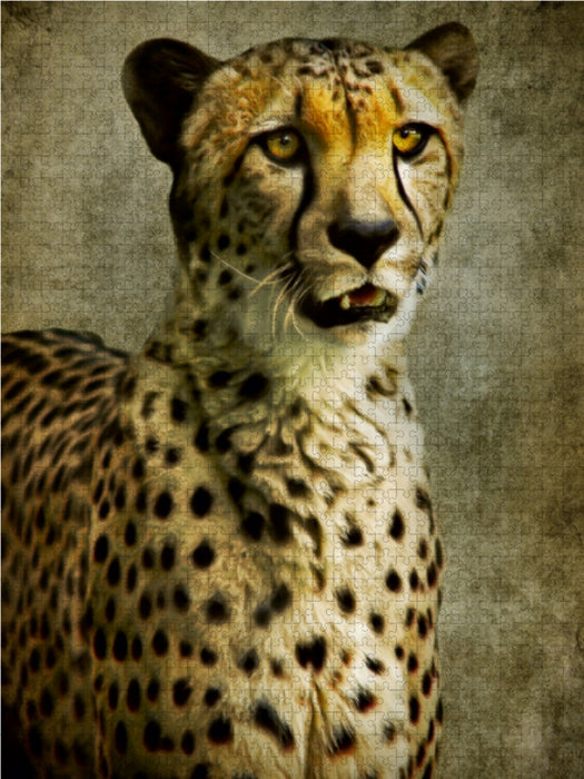Gepard - CALVENDO Foto-Puzzle - calvendoverlag 29.99