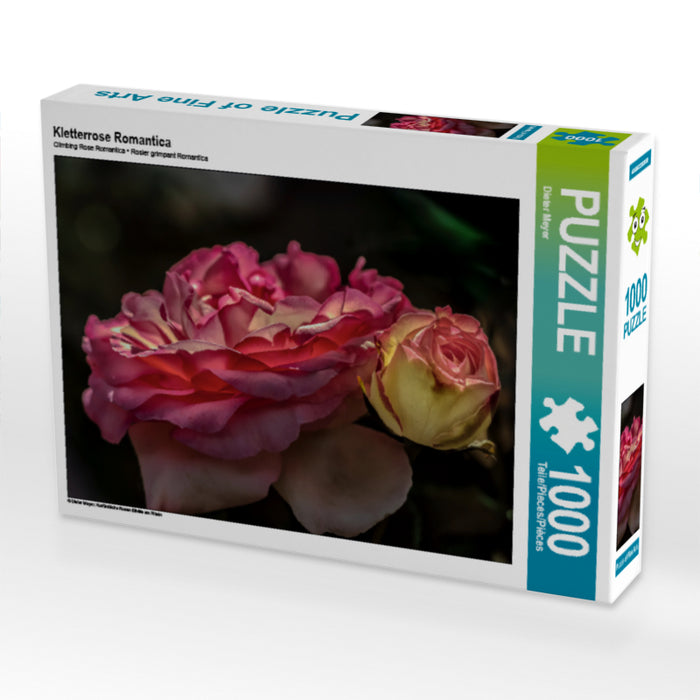 Kletterrose Romantica - CALVENDO Foto-Puzzle - calvendoverlag 29.99