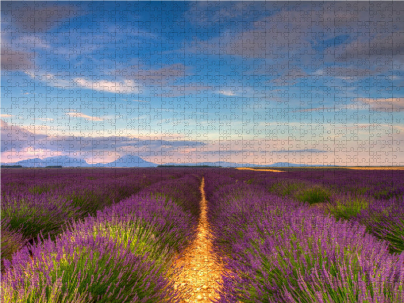 Lavendelfelder auf dem Valensole Plateau - CALVENDO Foto-Puzzle - calvendoverlag 29.99
