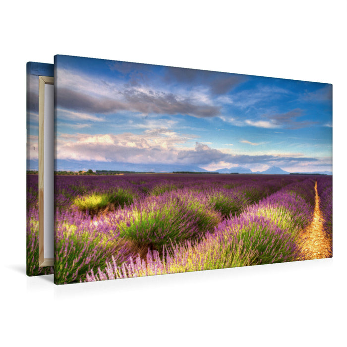Premium Textil-Leinwand Premium Textil-Leinwand 120 cm x 80 cm quer Lavendelfelder auf dem Valensole Plateau im Sommer