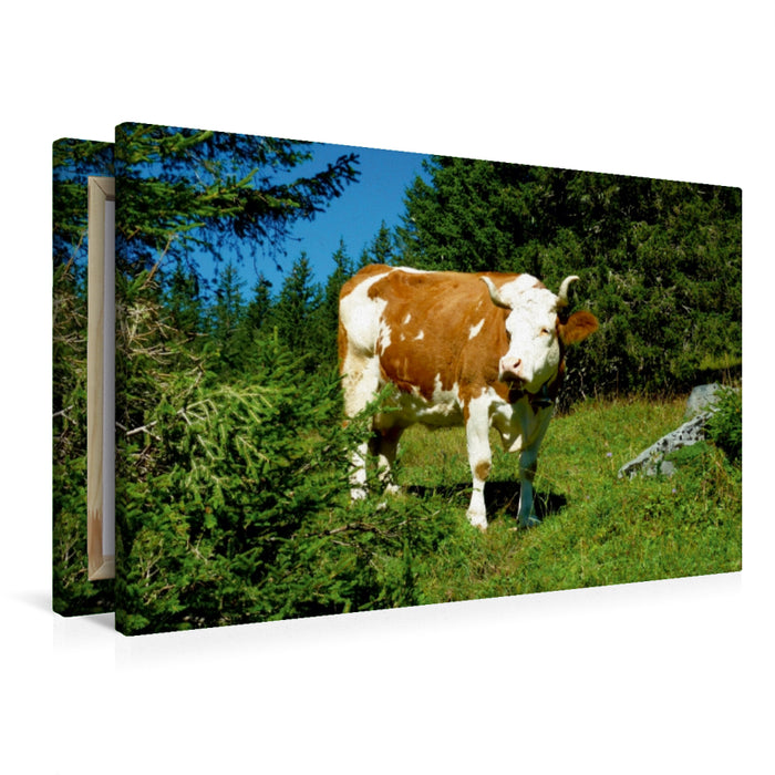 Toile textile premium Toile textile premium 90 cm x 60 cm paysage vache à l'alpage 