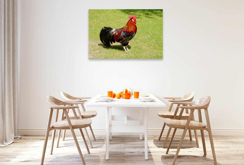 Premium textile canvas Premium textile canvas 120 cm x 80 cm landscape Proud rooster 