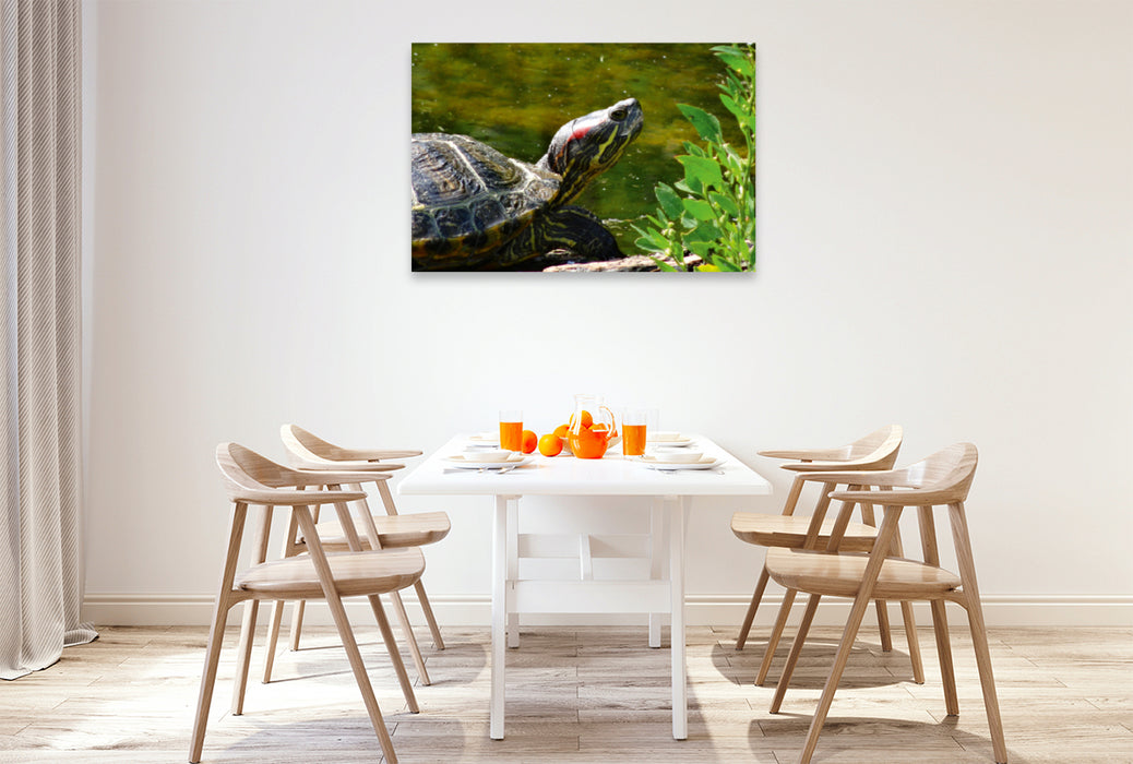 Toile textile premium Toile textile premium 120 cm x 80 cm paysage portrait tortue africaine 