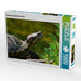 Schmuckschildkröten Portrait - CALVENDO Foto-Puzzle - calvendoverlag 29.99