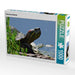 Schmuckschildkröte - CALVENDO Foto-Puzzle - calvendoverlag 29.99