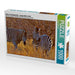 Zebras im Morgenlicht - morgendliche Safai - CALVENDO Foto-Puzzle - calvendoverlag 29.99