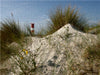 Wunderbare Nordsee - CALVENDO Foto-Puzzle - calvendoverlag 29.99