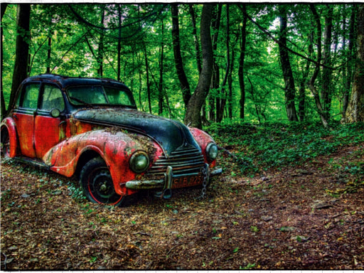 BMW - verlassener im Wald - CALVENDO Foto-Puzzle - calvendoverlag 29.99