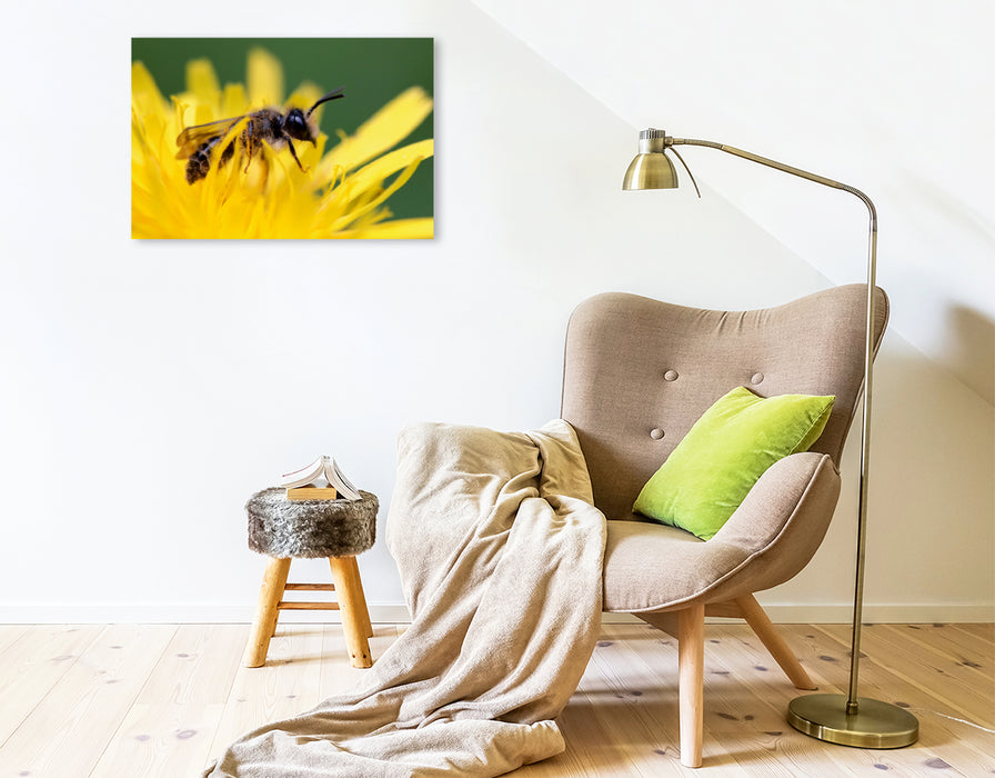 Premium Textil-Leinwand Premium Textil-Leinwand 75 cm x 50 cm quer Ein Motiv aus dem Kalender Bienen - Fleißige Gartenbewohner