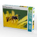 Bienen - Fleißige Gartenbewohner - CALVENDO Foto-Puzzle - calvendoverlag 29.99