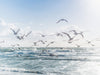 Traum vom Fliegen - Poesie des Meeres - CALVENDO Foto-Puzzle - calvendoverlag 29.99