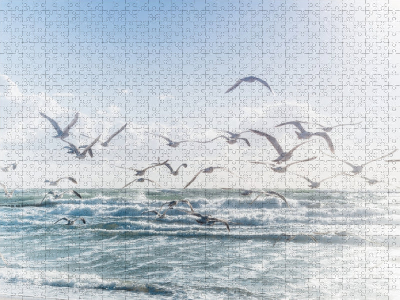Traum vom Fliegen - Poesie des Meeres - CALVENDO Foto-Puzzle - calvendoverlag 29.99