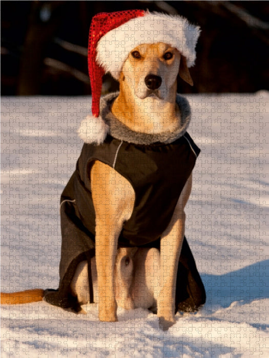 Frohe Weihnachten! - CALVENDO Foto-Puzzle - calvendoverlag 29.99