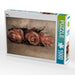 hope - CALVENDO Foto-Puzzle - calvendoverlag 29.99