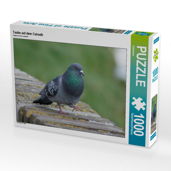 Taube auf dem Catwalk - CALVENDO Foto-Puzzle - calvendoverlag 29.99