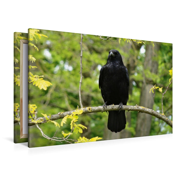 Toile textile premium Toile textile premium 120 cm x 80 cm paysage corbeau dans l'arbre 