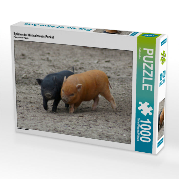 Spielende Minischwein Ferkel - CALVENDO Foto-Puzzle - calvendoverlag 29.99