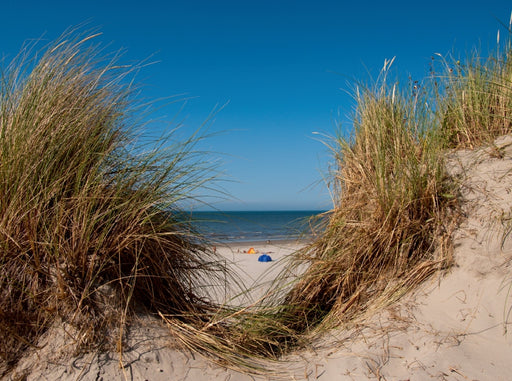 Am Strand von Buren - CALVENDO Foto-Puzzle - calvendoverlag 39.99