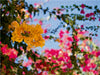 Blumenpracht in Puerto Mogan - CALVENDO Foto-Puzzle - calvendoverlag 39.99