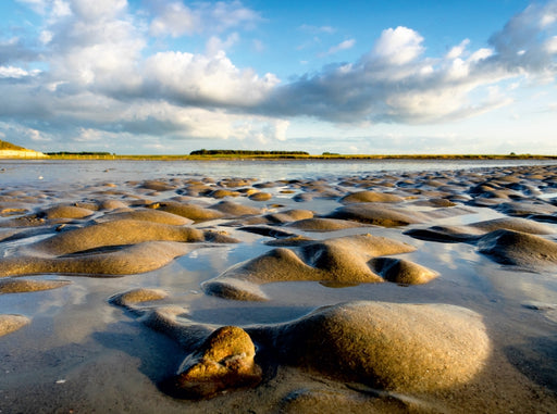 Im Naturschutzgebiet "T´Zwien" - CALVENDO Foto-Puzzle - calvendoverlag 29.99