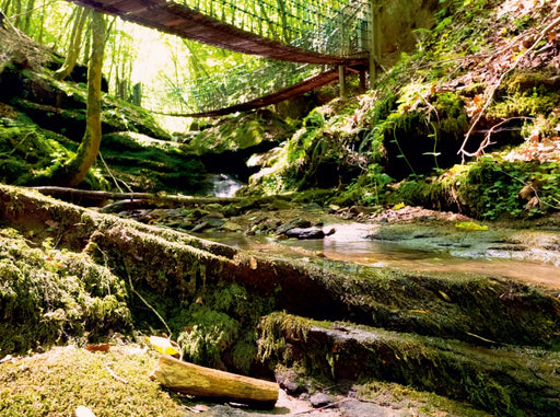 Butzerbachtal bei Bitburg - CALVENDO Foto-Puzzle - calvendoverlag 29.99