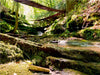 Butzerbachtal bei Bitburg - CALVENDO Foto-Puzzle - calvendoverlag 29.99