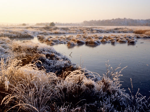 Zauberhaftes Moor - CALVENDO Foto-Puzzle - calvendoverlag 39.99