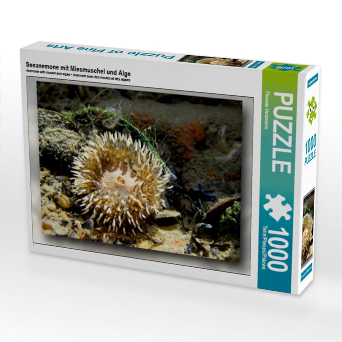 Seeanemone mit Miesmuschel und Alge - CALVENDO Foto-Puzzle - calvendoverlag 29.99