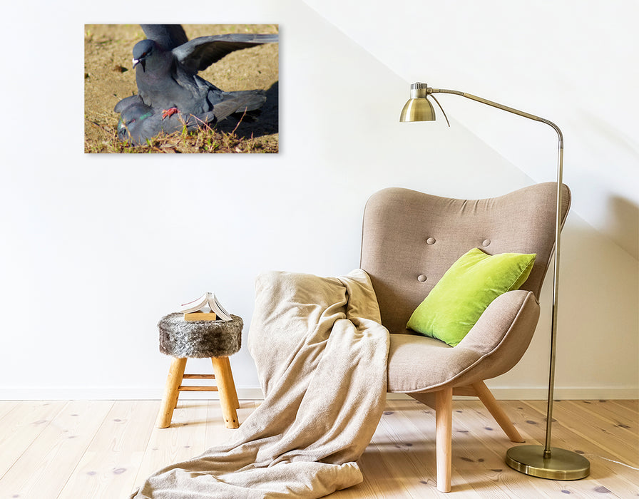 Premium textile canvas Premium textile canvas 75 cm x 50 cm landscape doves love 