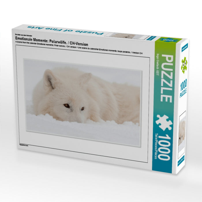 Emotionale Momente: Polarwölfe. / CH-Version - CALVENDO Foto-Puzzle - calvendoverlag 79.99