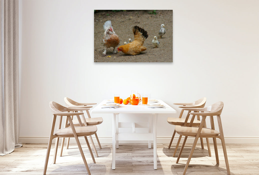 Premium textile canvas Premium textile canvas 120 cm x 80 cm landscape Funny flock of chickens 