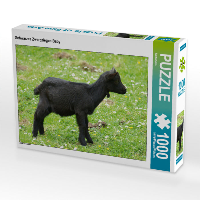 Schwarzes Zwergziegen Baby - CALVENDO Foto-Puzzle - calvendoverlag 29.99