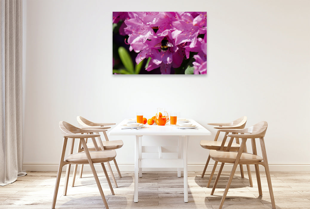 Toile textile premium Toile textile premium 120 cm x 80 cm paysage bourdon en fleur de rhododendron rose 