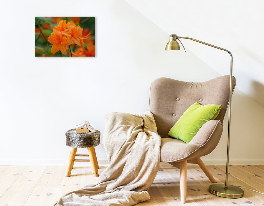 Premium Textil-Leinwand Premium Textil-Leinwand 45 cm x 30 cm quer Orangene Rhododendron Blüte