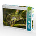 Teichfrosch - CALVENDO Foto-Puzzle - calvendoverlag 29.99