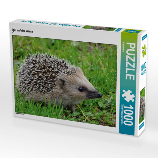 Igel auf der Wiese - CALVENDO Foto-Puzzle - calvendoverlag 29.99