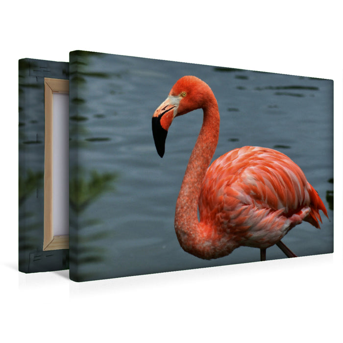 Premium Textil-Leinwand Premium Textil-Leinwand 45 cm x 30 cm quer Eleganter Flamingo