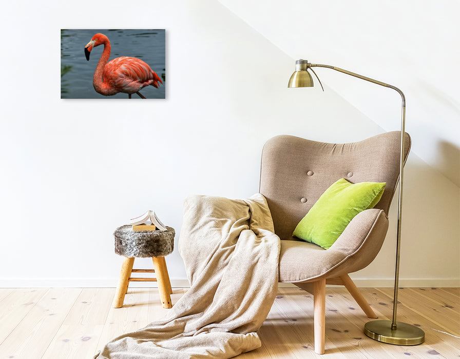 Premium Textil-Leinwand Premium Textil-Leinwand 45 cm x 30 cm quer Eleganter Flamingo