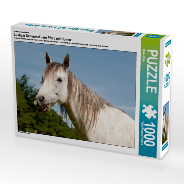Lustiger Schimmel - ein Pferd mit Humor - CALVENDO Foto-Puzzle - calvendoverlag 29.99
