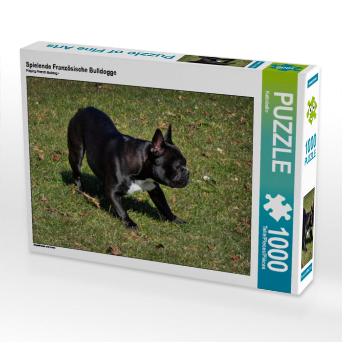 Spielende Französische Bulldogge - CALVENDO Foto-Puzzle - calvendoverlag 29.99