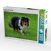 Langhaar Collie tricolor - CALVENDO Foto-Puzzle - calvendoverlag 29.99