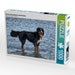 Berner Sennenhund in der Nordsee - CALVENDO Foto-Puzzle - calvendoverlag 29.99
