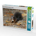 Braunes Eichhörnchen Baby im Herbst - CALVENDO Foto-Puzzle - calvendoverlag 29.99