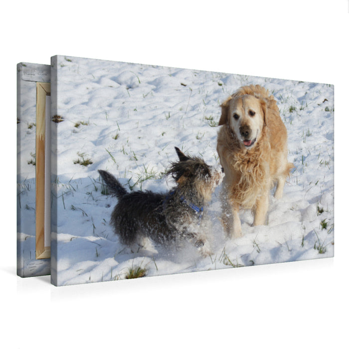 Premium textile canvas Premium textile canvas 75 cm x 50 cm landscape Dog friendship in winter 