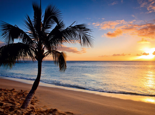 Napili Bay, Maui (HI) - CALVENDO Foto-Puzzle - calvendoverlag 39.99